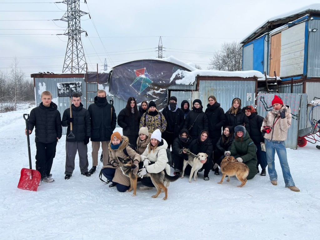 Волонтёрство (ЗооДом)